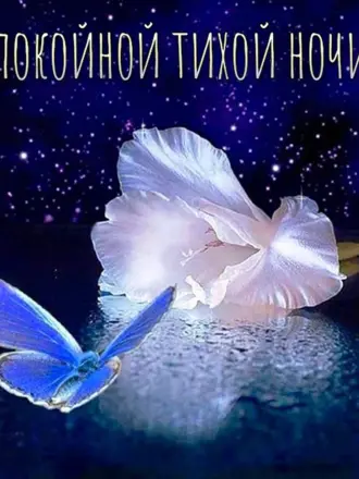 Нежные пожелания спокойной ночи